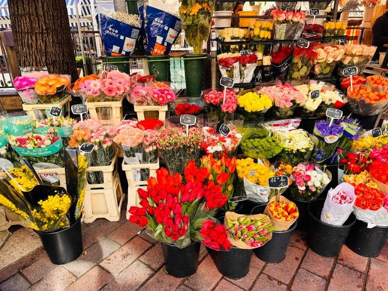 Cours Saleya Market