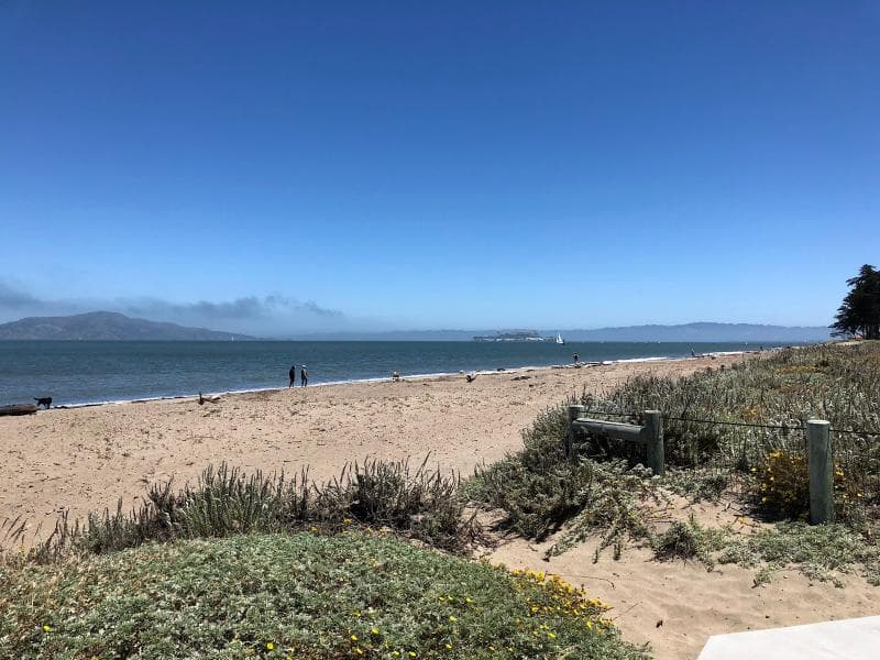 Crissy Field