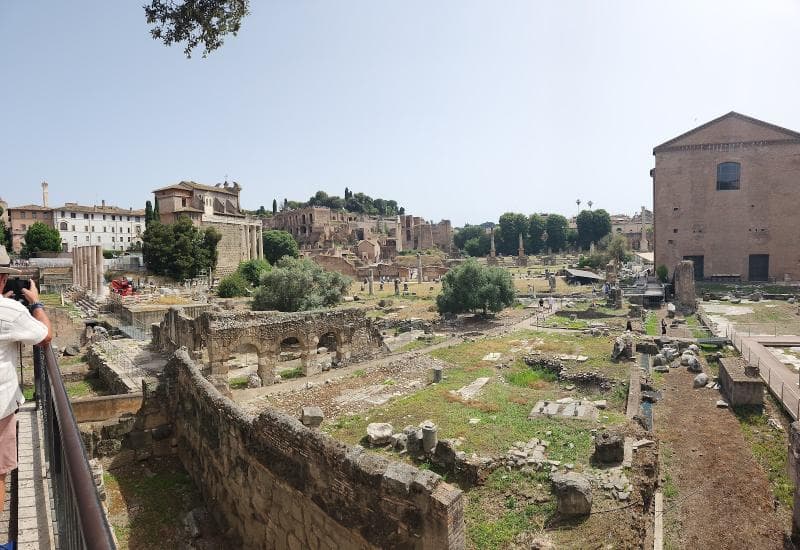 Curia Julia