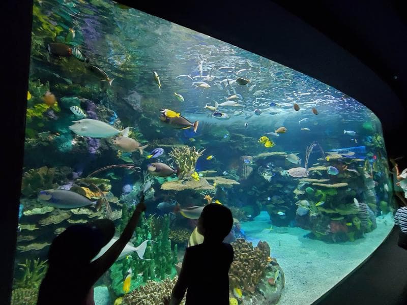 Discovery Centre