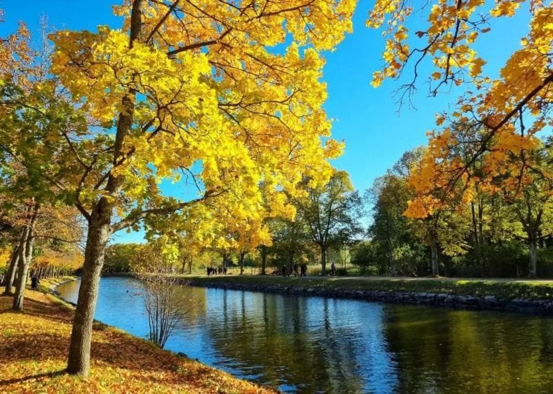 Djurgården