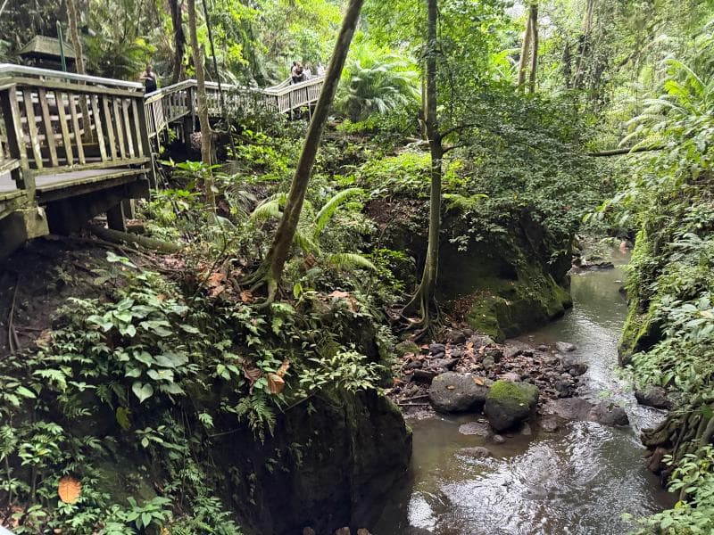 Dragon Bridge