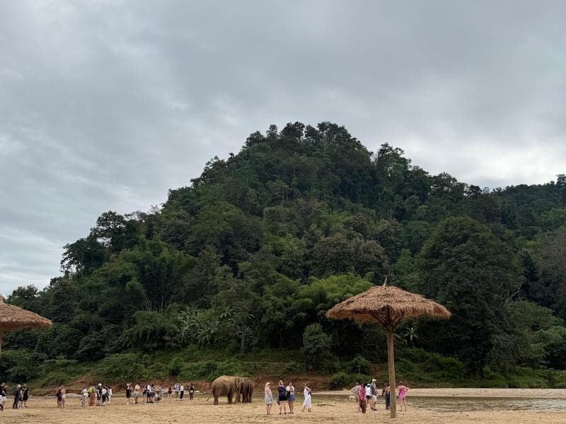 Elephant Nature Park