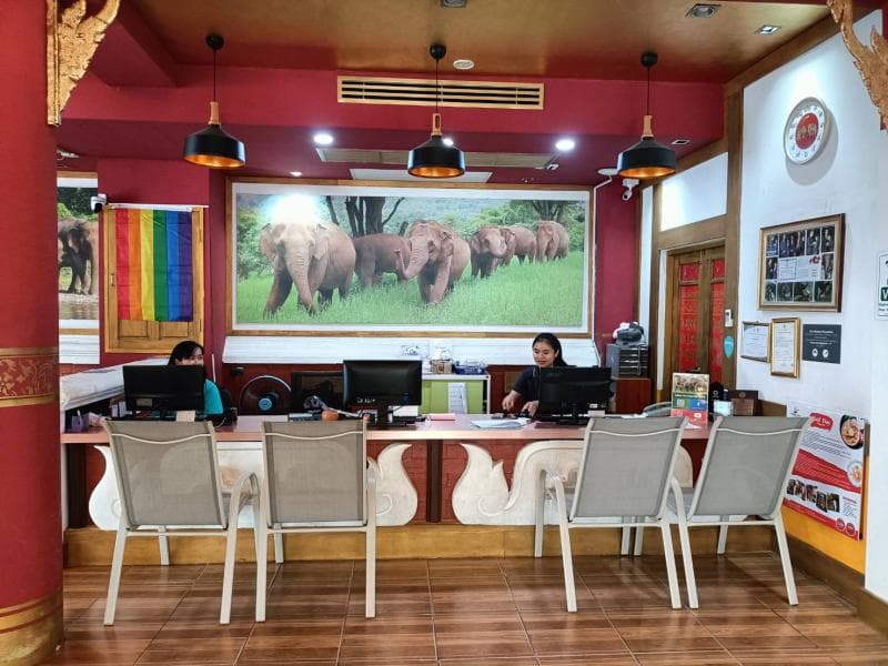 Elephant Viewing Areas