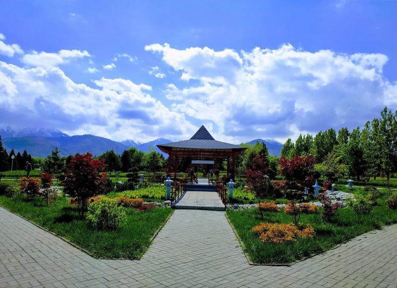 Flower Gardens