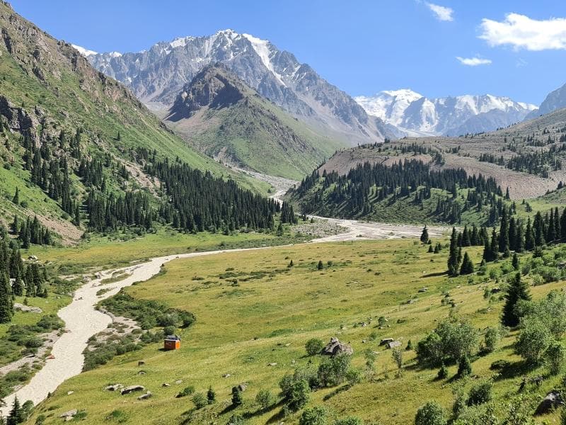 Forest Areas