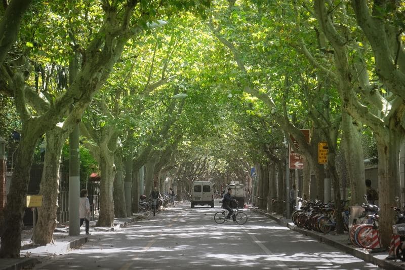French Concession