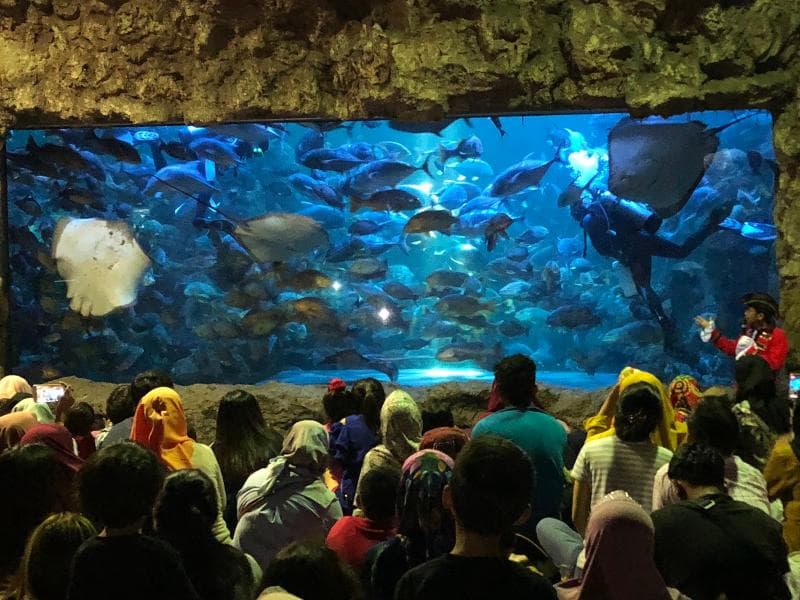 Freshwater Zone