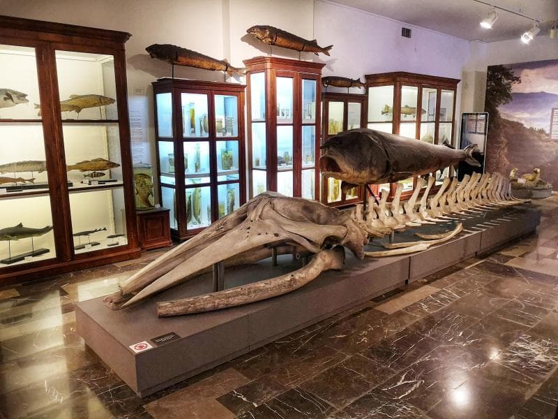 Georgian National Museum