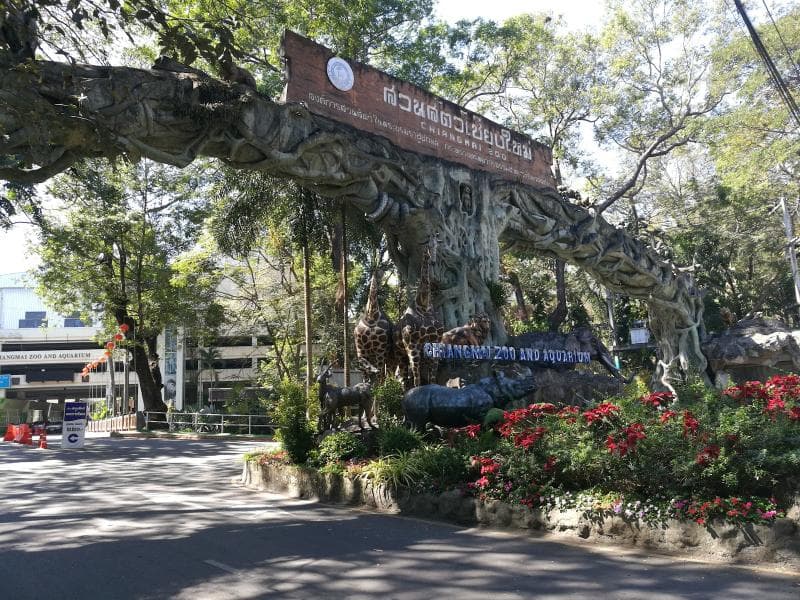 Giant Panda House