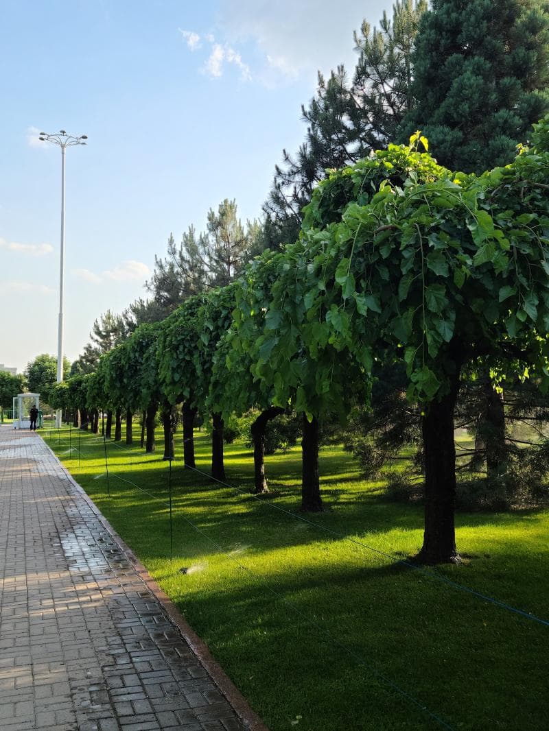 Green Gardens