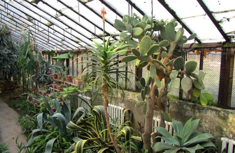 Greenhouses