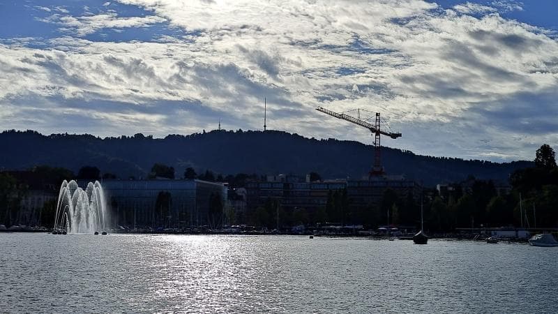 Harbor Views