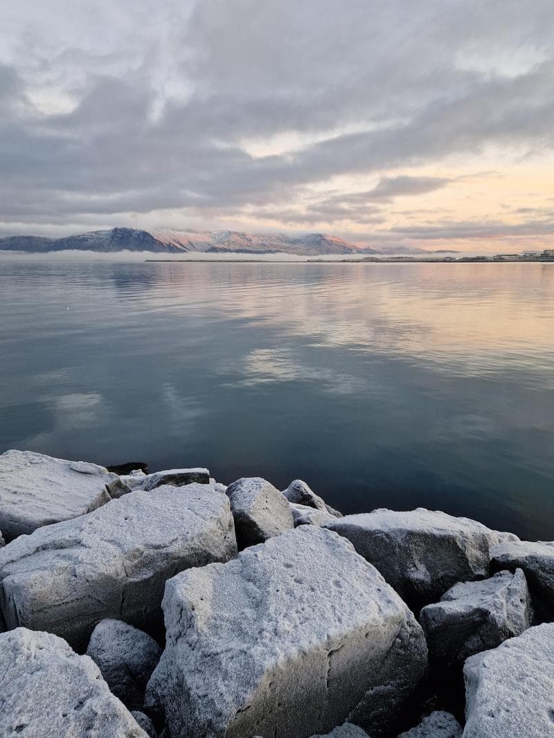 Harbor Walk