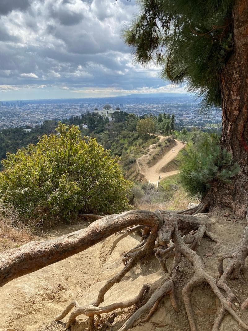 Hiking Trails