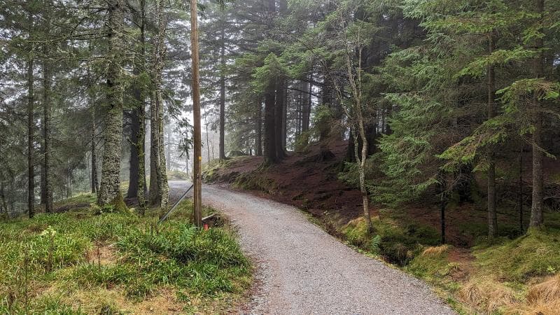 Hiking Trails