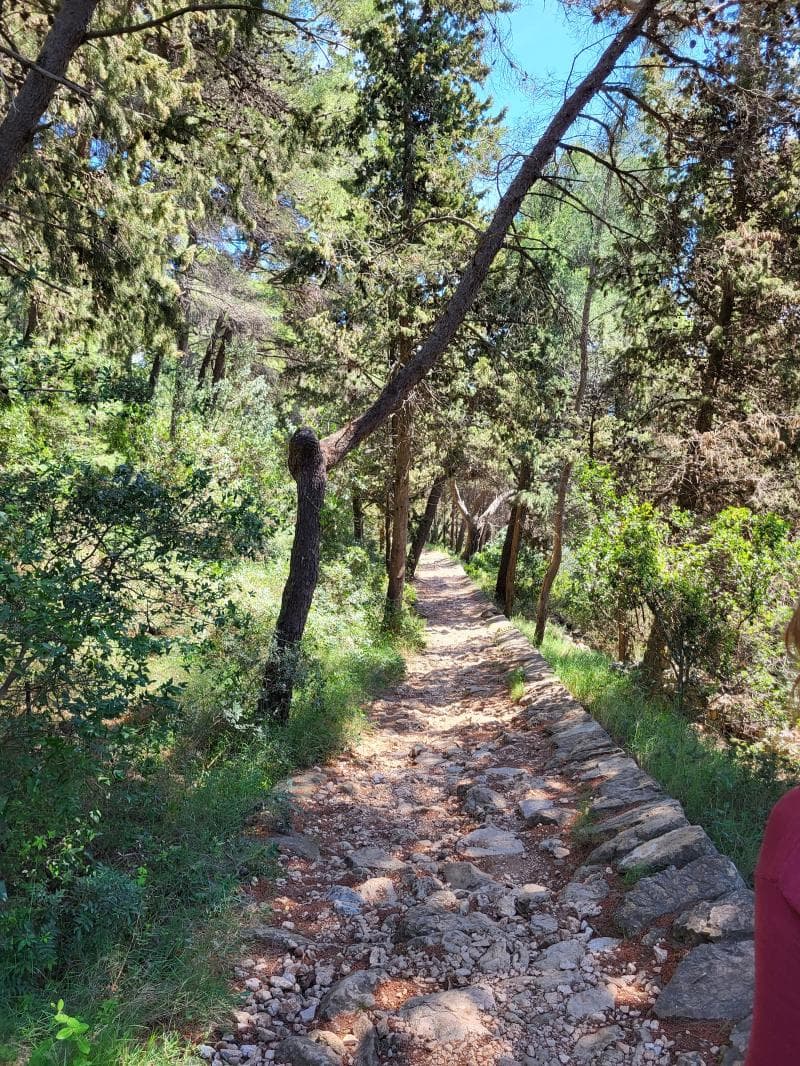 Hiking Trails
