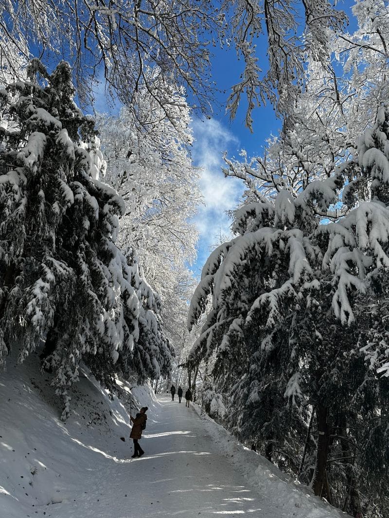 Hiking Trails