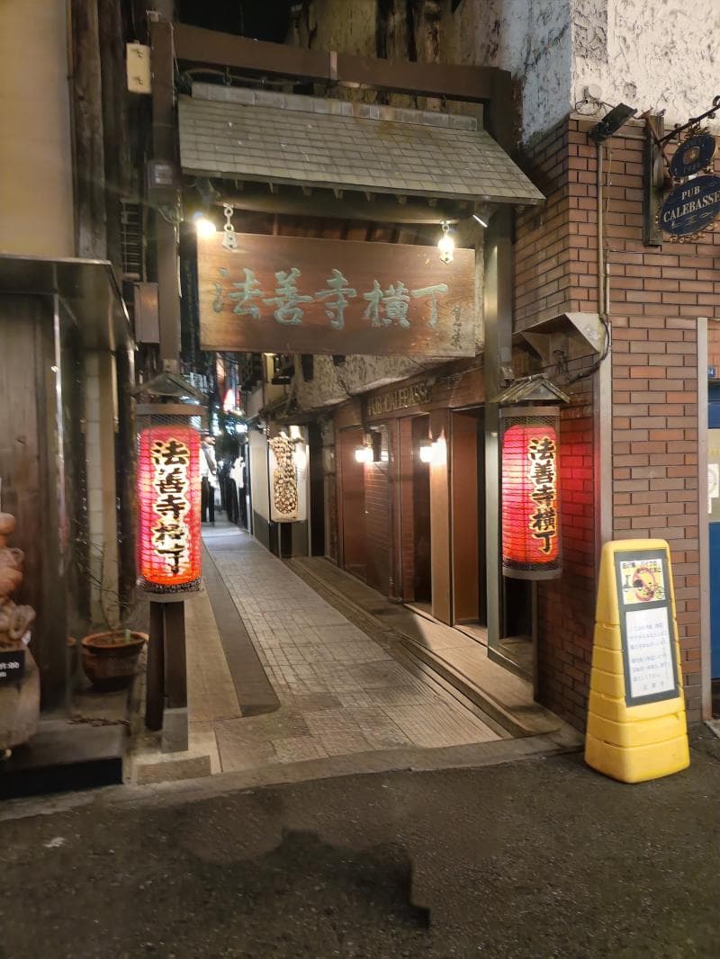 Hozenji Yokocho Alley
