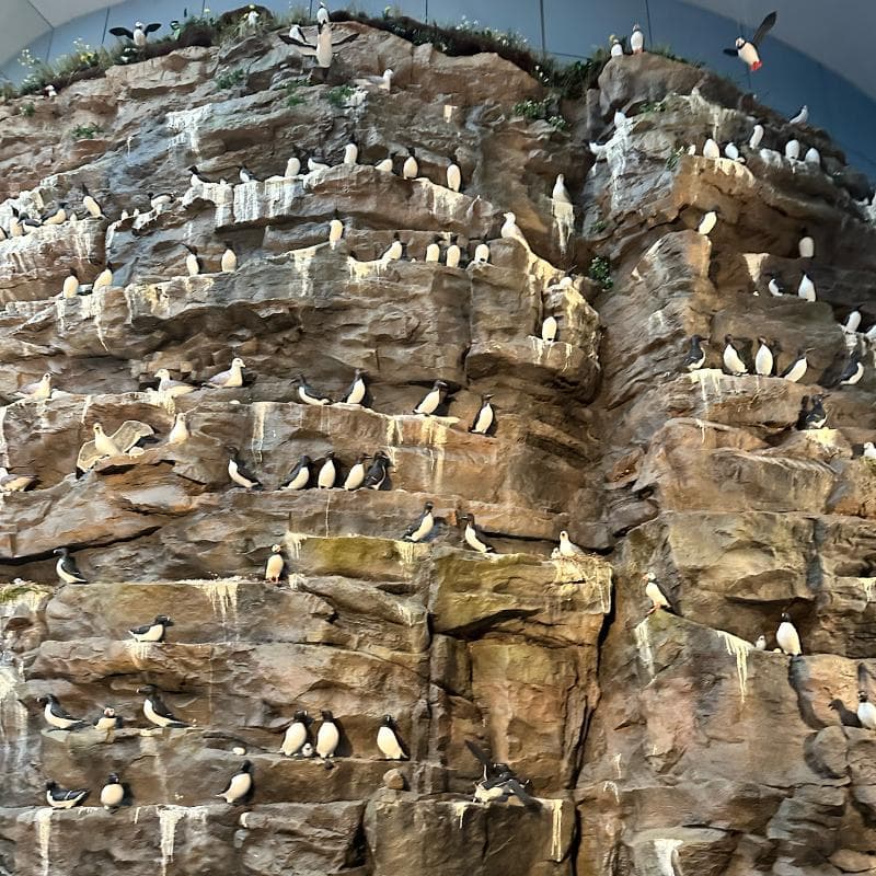 Ice Cave Exhibition