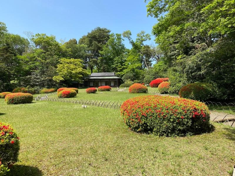 Inner Garden