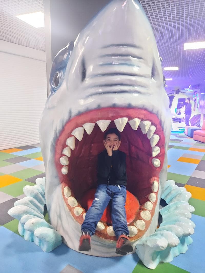 Interactive Displays