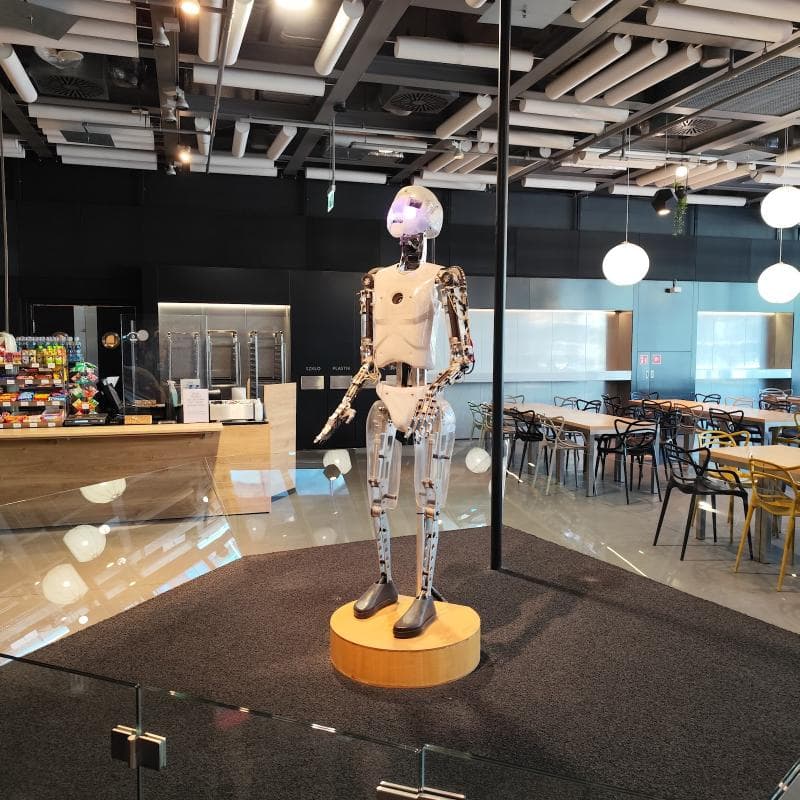Interactive Labs