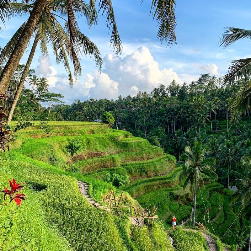 Irrigation Channels