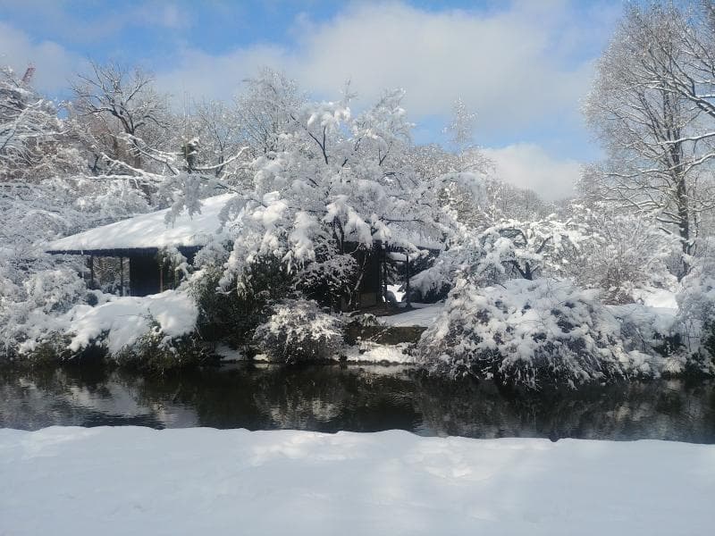 Japanese Tea House