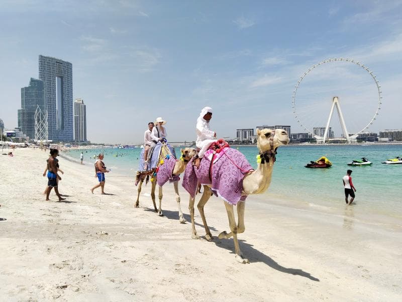 JBR Murals and Public Art Installations