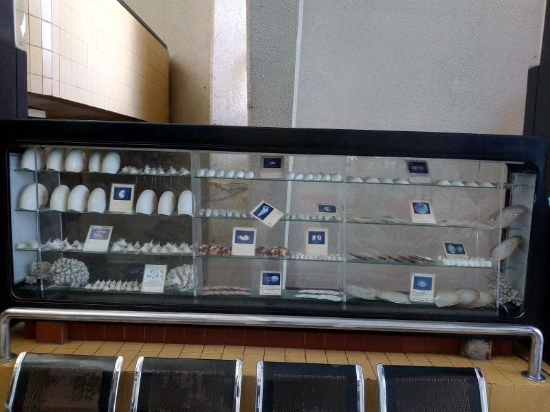 Keong Emas Theater