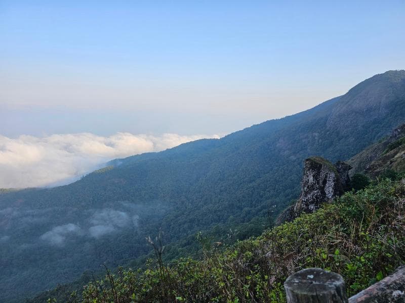 Kew Mae Pan Nature Trail