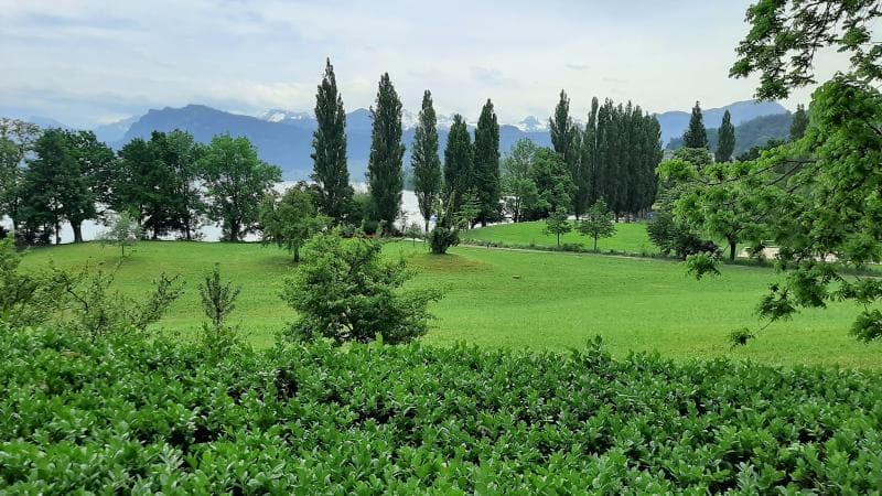 Lakeside Garden