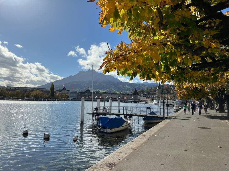 Lakeside Parks
