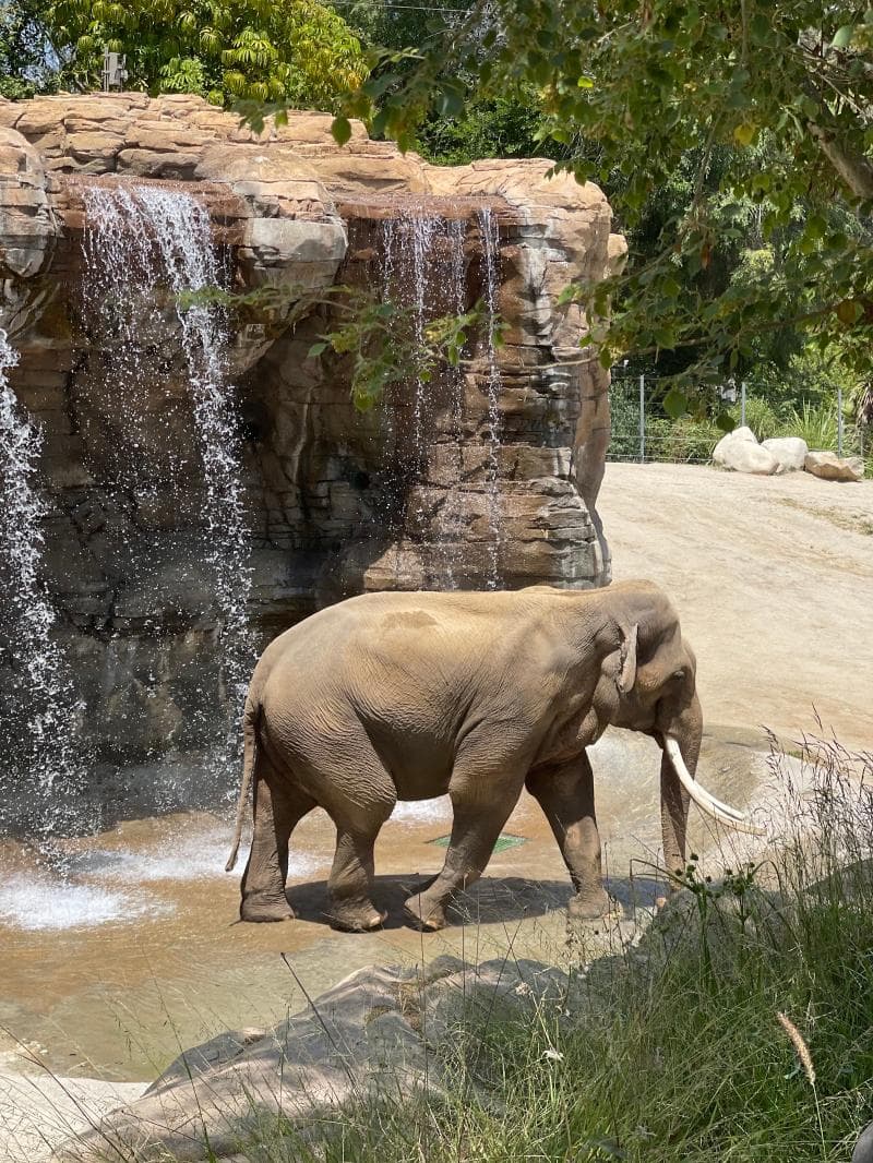 Los Angeles Zoo