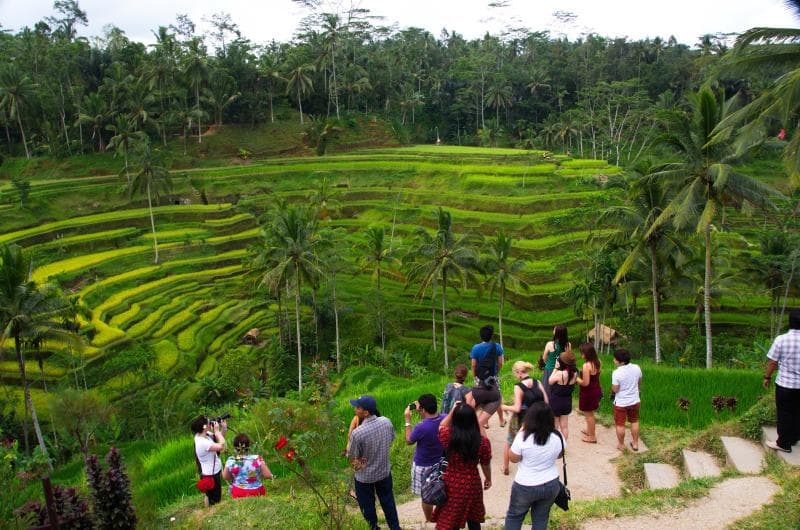 Lower Terraces