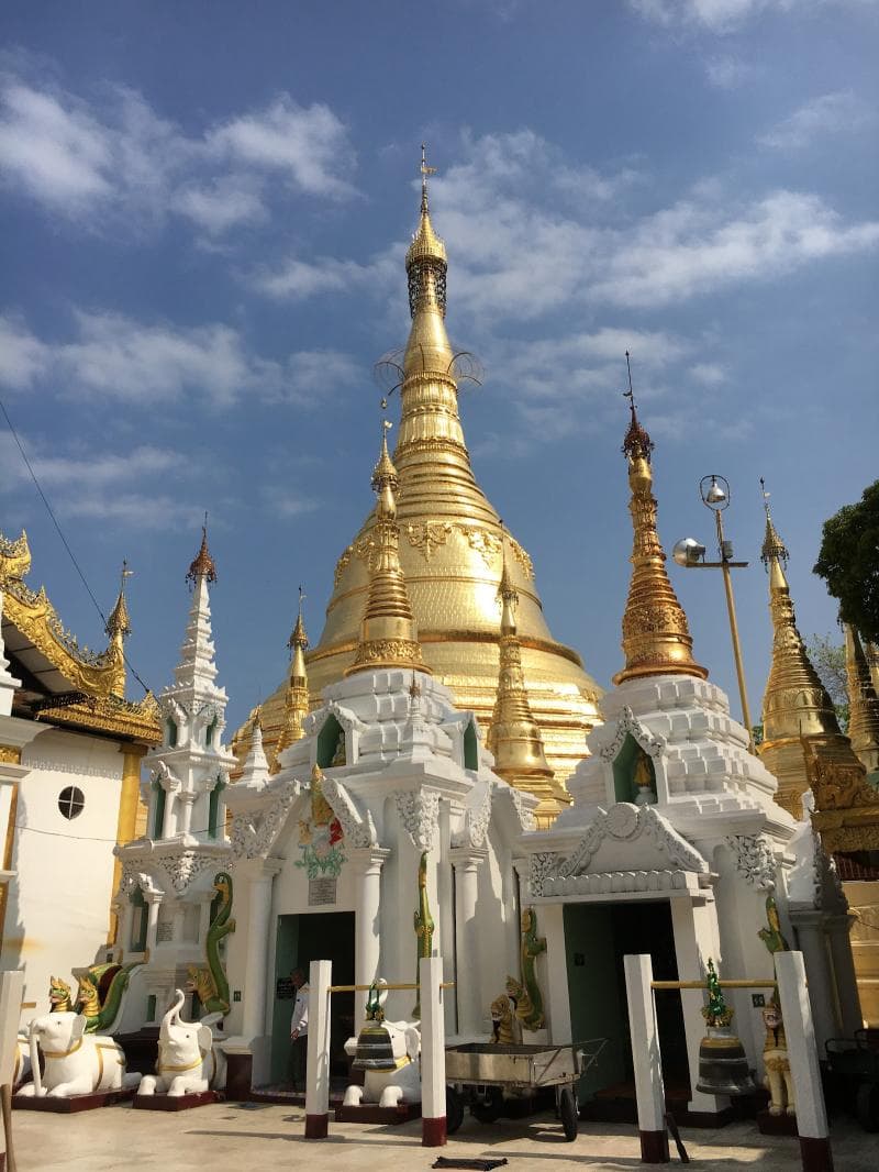Maha Bodhi Tree