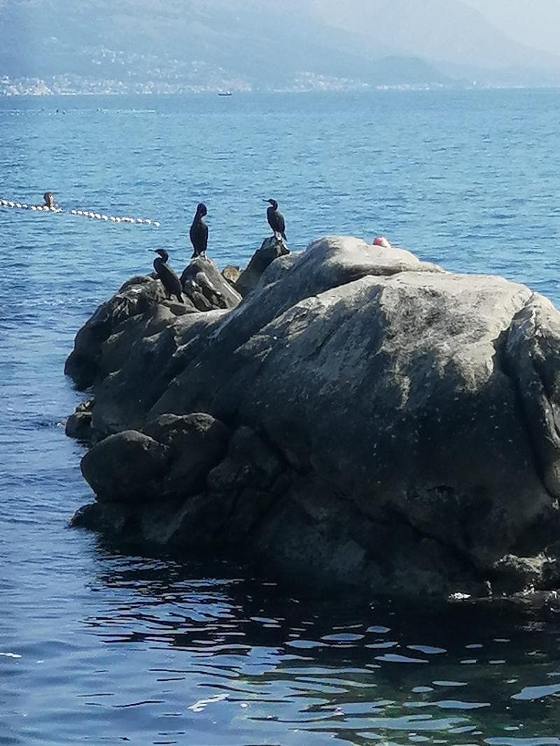 Marina Edge