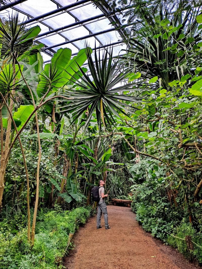 Masoala Rainforest Hall
