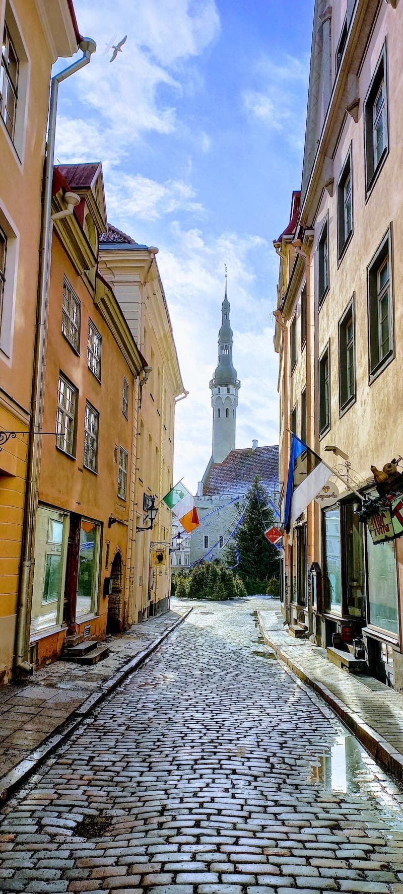 Medieval Towers