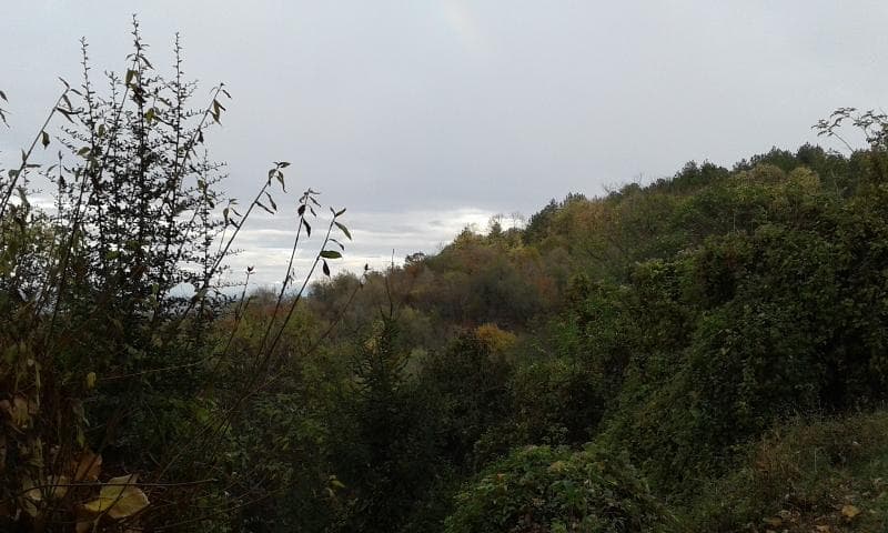 Middle Vodno