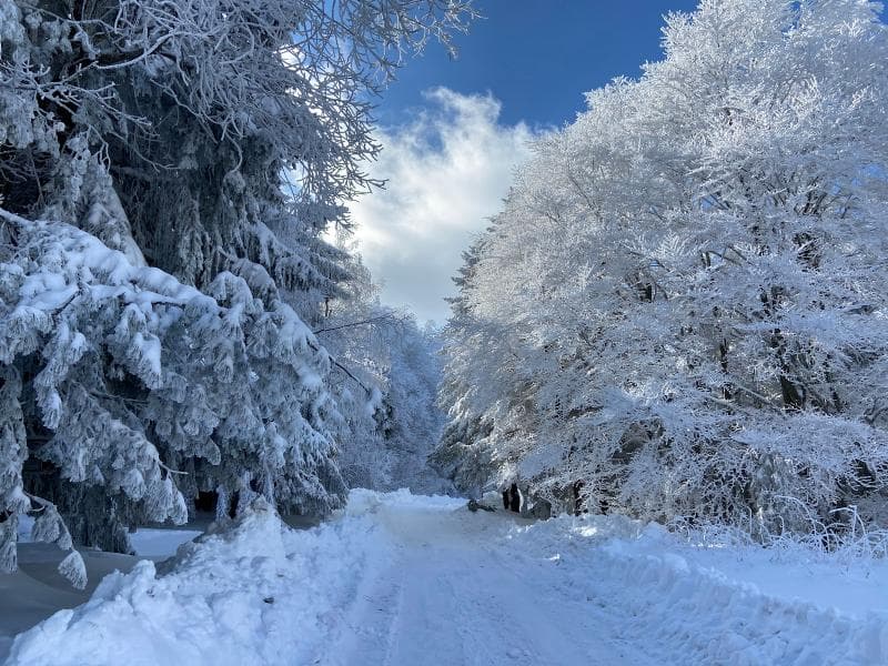 Mount Vitosha