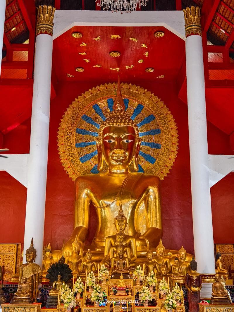 Murals