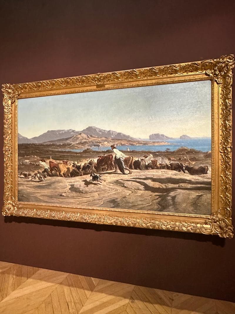 Musée Des Beaux-Arts