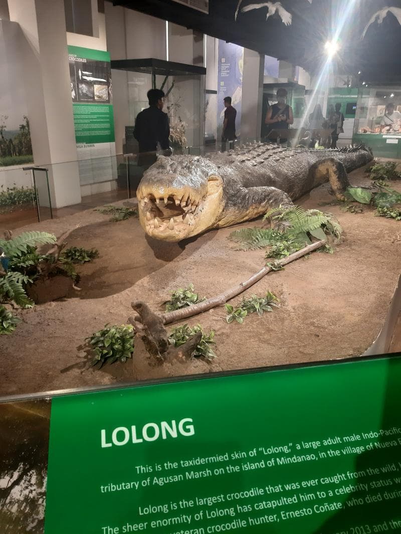 National Museum Of Natural History