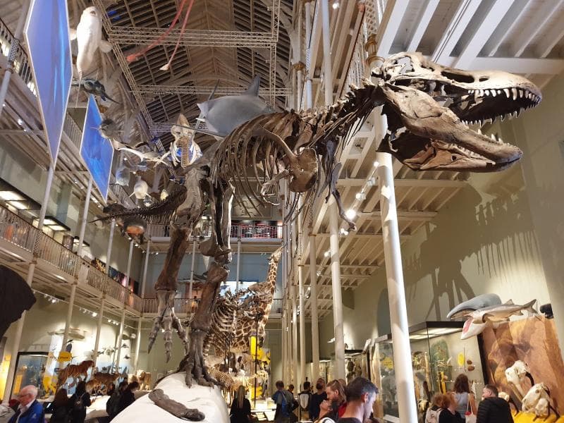 National Museum Of Scotland
