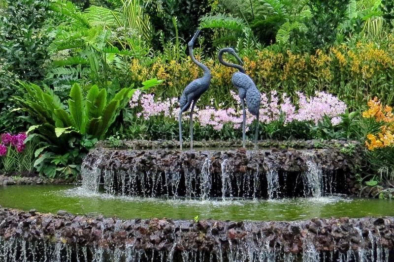 National Orchid Garden