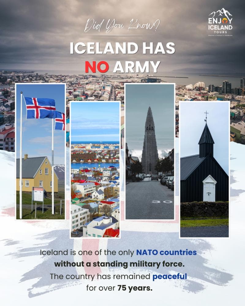 Northern Lights Tours