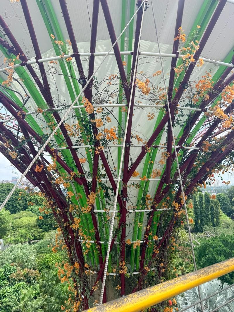 OCBC Skyway