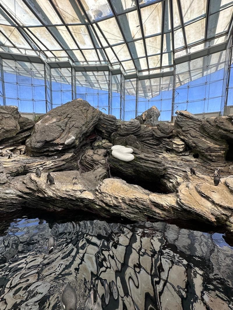 Oceanário De Lisboa
